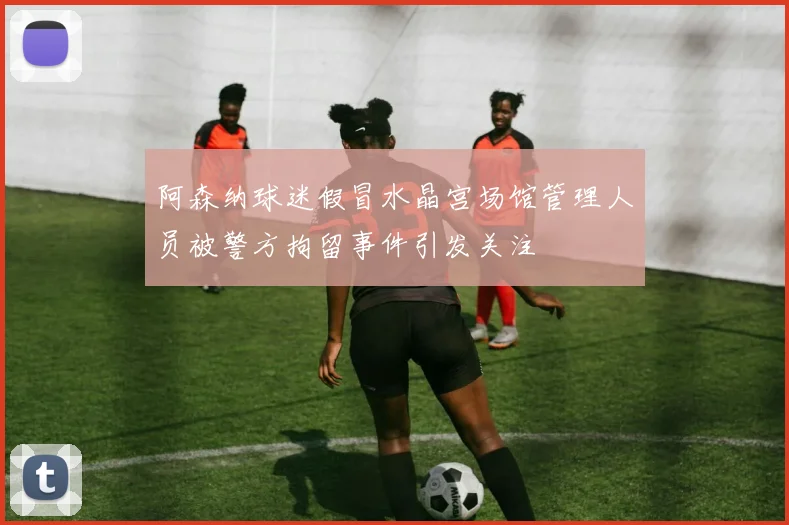 阿森纳球迷假冒水晶宫场馆管理人员被警方拘留事件引发关注